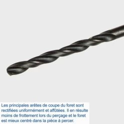 Affûteuse De Fôrets Métaux DBS800 SCHEPPACH - 230V 50Hz 80W - 5903404901 11 Affûteuse De Fôrets Métaux DBS800 SCHEPPACH - 230V 50Hz 80W - 5903404901 -Scheppach 15331993 5