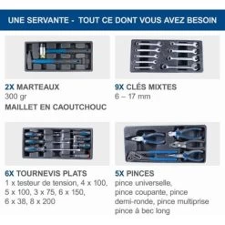 CHARIOT D'ATELIER AVEC 70 OUTILS CAISSE ROULETTES ROULANT SCHEPPACH TW1100 -Scheppach 25268270 3