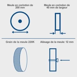 Affuteuse à Eau SCHEPPACH 200mm - 150W - TIGER5000S -Scheppach 57608476 3