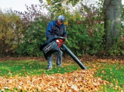 Souffleur Thermique 4 En 1 LBH2600P SCHEPPACH - 5911104903 -Scheppach sche0270 4